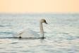 _IMG3892 copy.jpg